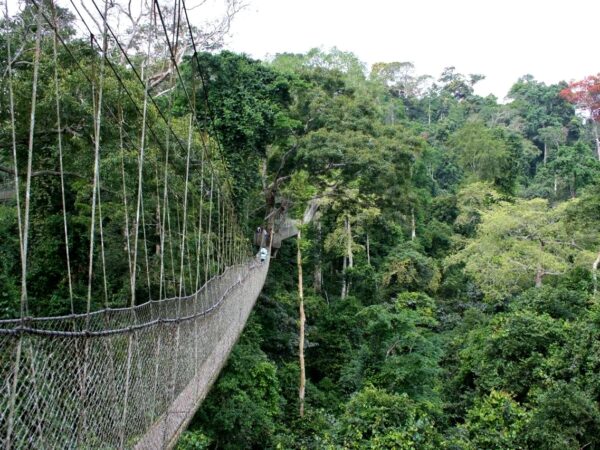 Kakum National Park