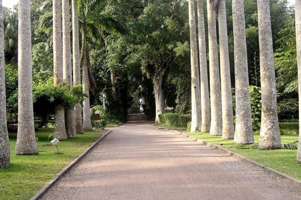 Aburi Botanical Gardens