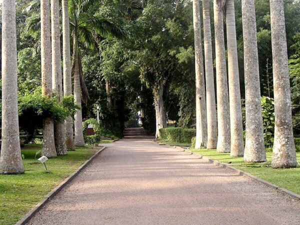 Aburi Botanical Gardens